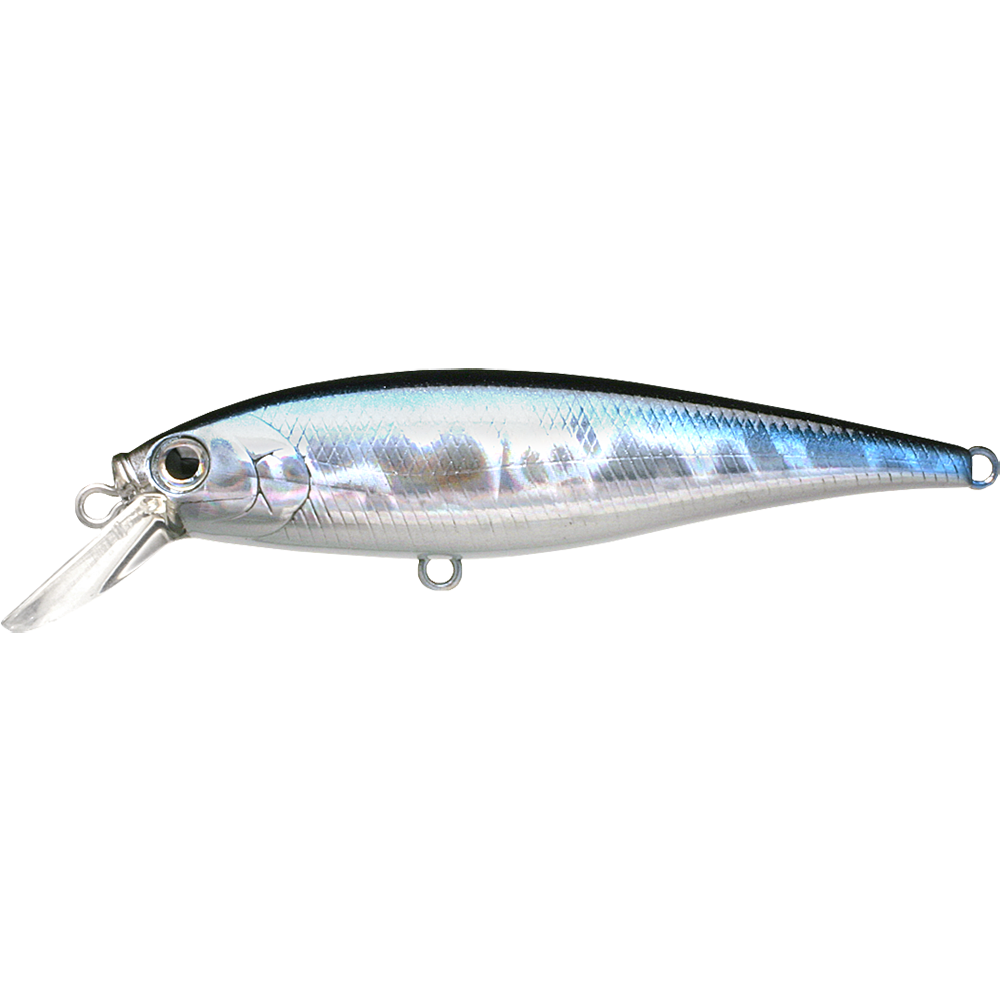 Pointer 78SP Aurora Black