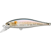 Pointer 65SP MS American Shad